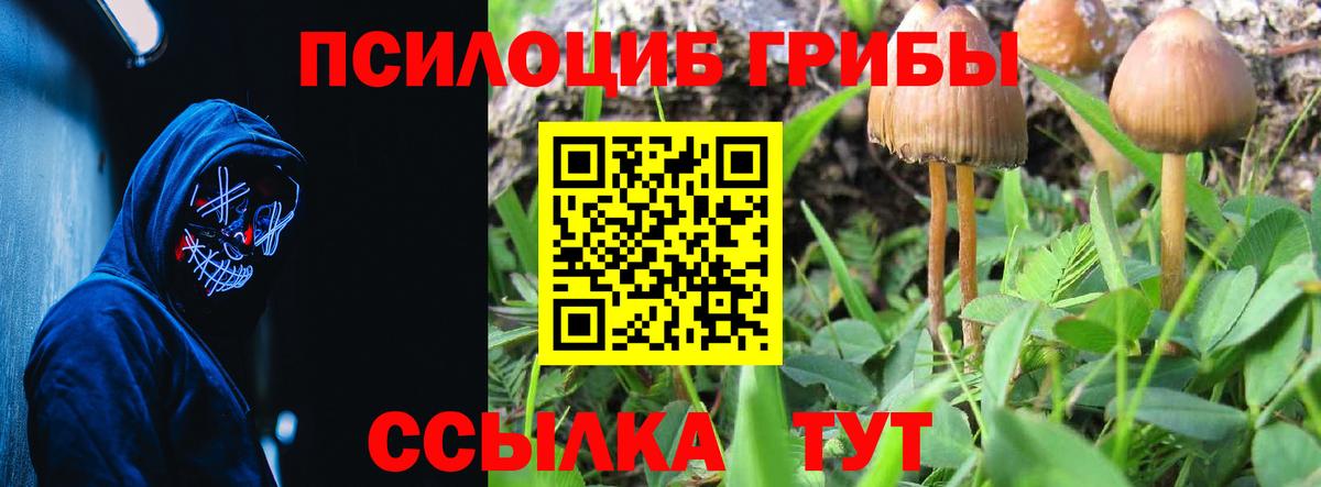 Меф кристаллы  Лсд 25  ГАШ  COCAIN  Магазин наркотиков  Вход с VPN  NBOMe  Канабис  Бузулук  ГАШ 